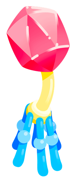 Phage Visual